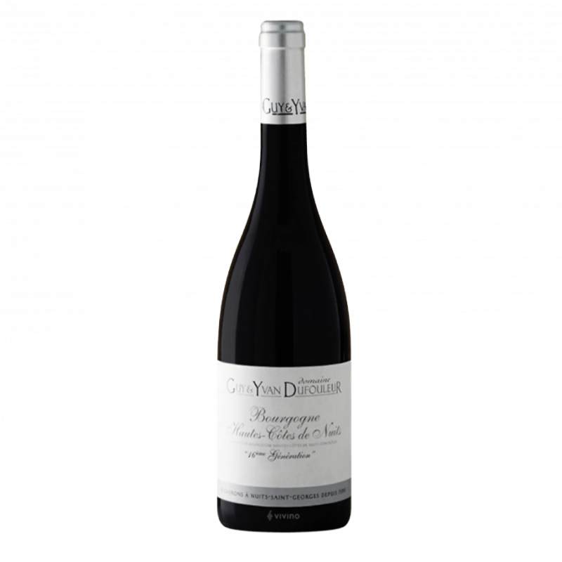 Vin Hautes Côtes de Nuîts Domaine Guy et Yvan Dufouleur 2021