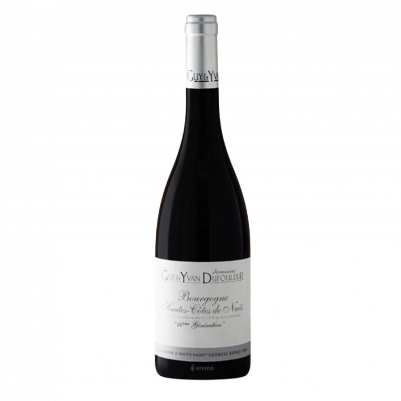 Vin Hautes Côtes de Nuîts Domaine Guy et Yvan Dufouleur 2023