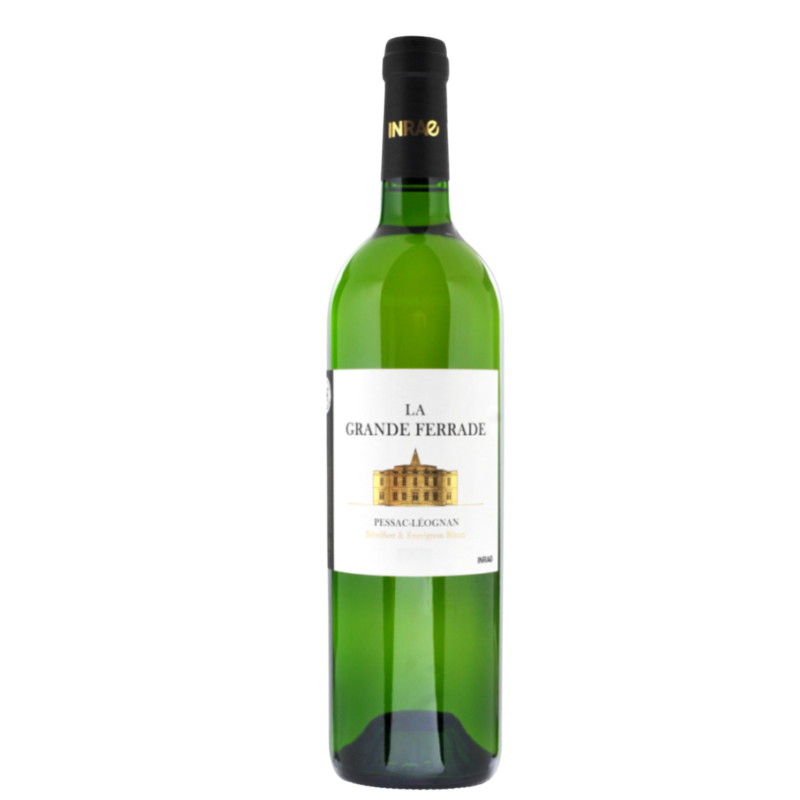 PESSAC LEOGNAN BLANC CHATEAU LA GRANDE FERRADE 2019