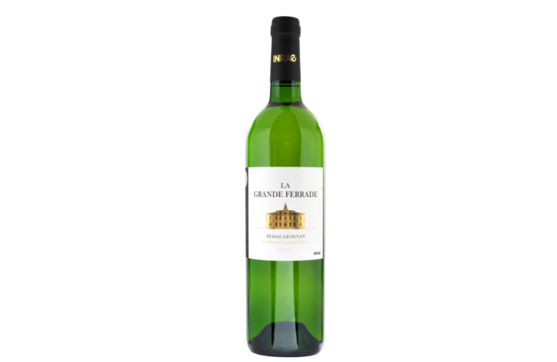 PESSAC LEOGNAN BLANC CHATEAU LA GRANDE FERRADE 2019