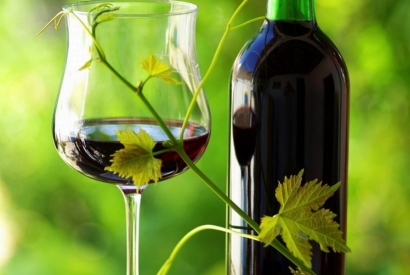 Qu'est-ce qu'un vin bio ?